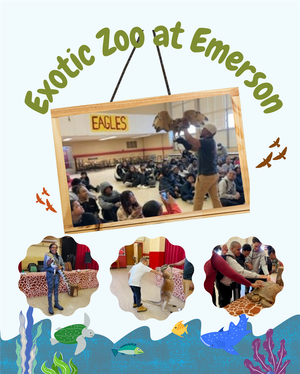  Exotic Zoo Animals